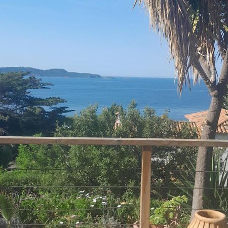קרקראן F3 Rdc Villa Vue Mer 180 Face A La Pointe De Giens מראה חיצוני תמונה